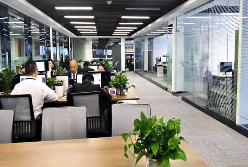 名优科尔帕默联系方式